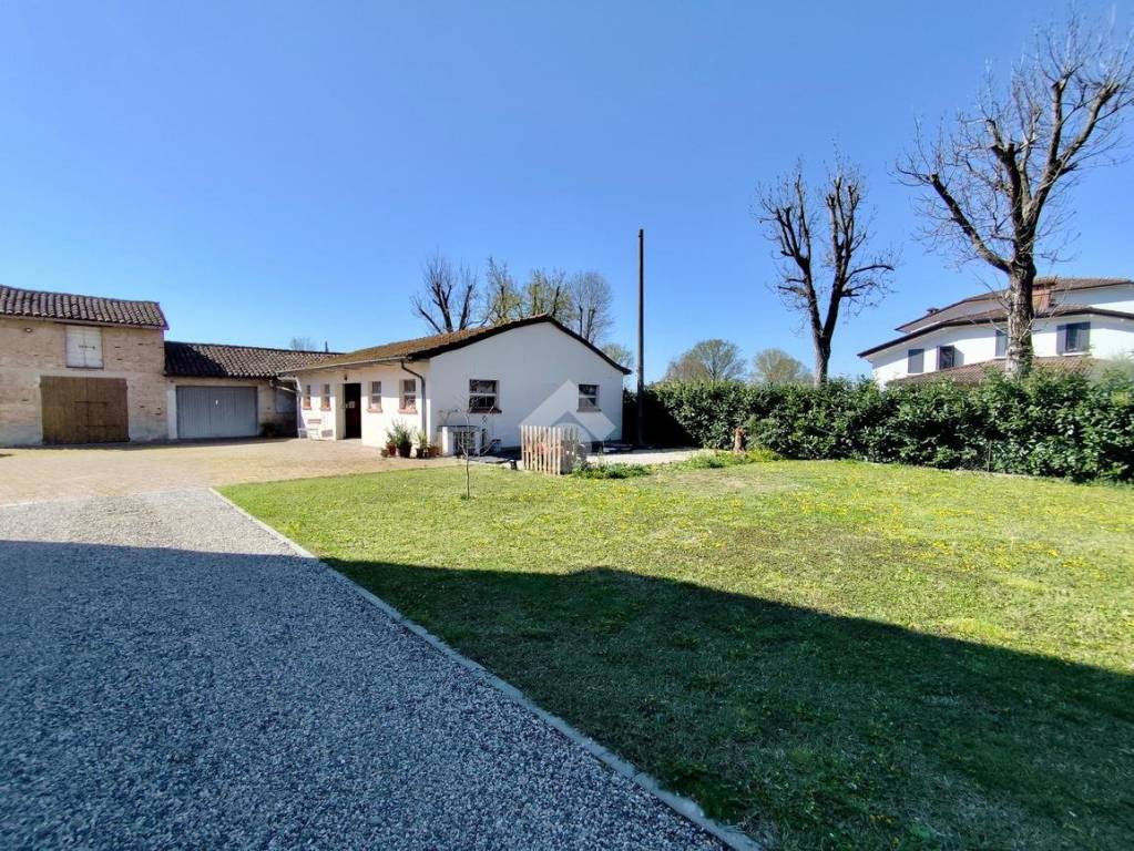 immagine annuncio 3 di 15