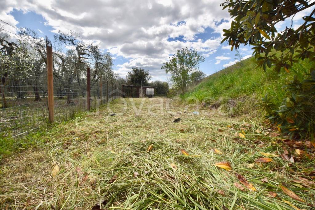 immagine annuncio 1 di 8