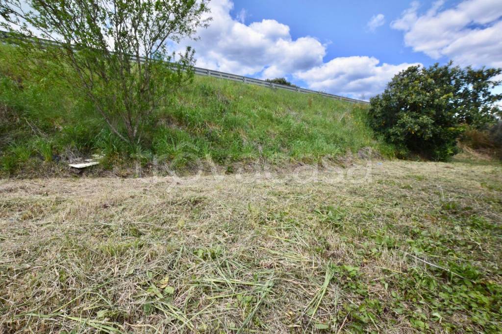 immagine annuncio 2 di 8