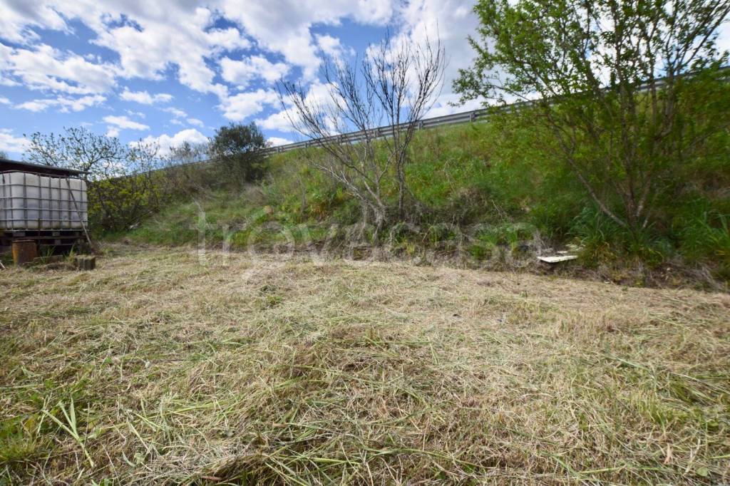 immagine annuncio 3 di 8