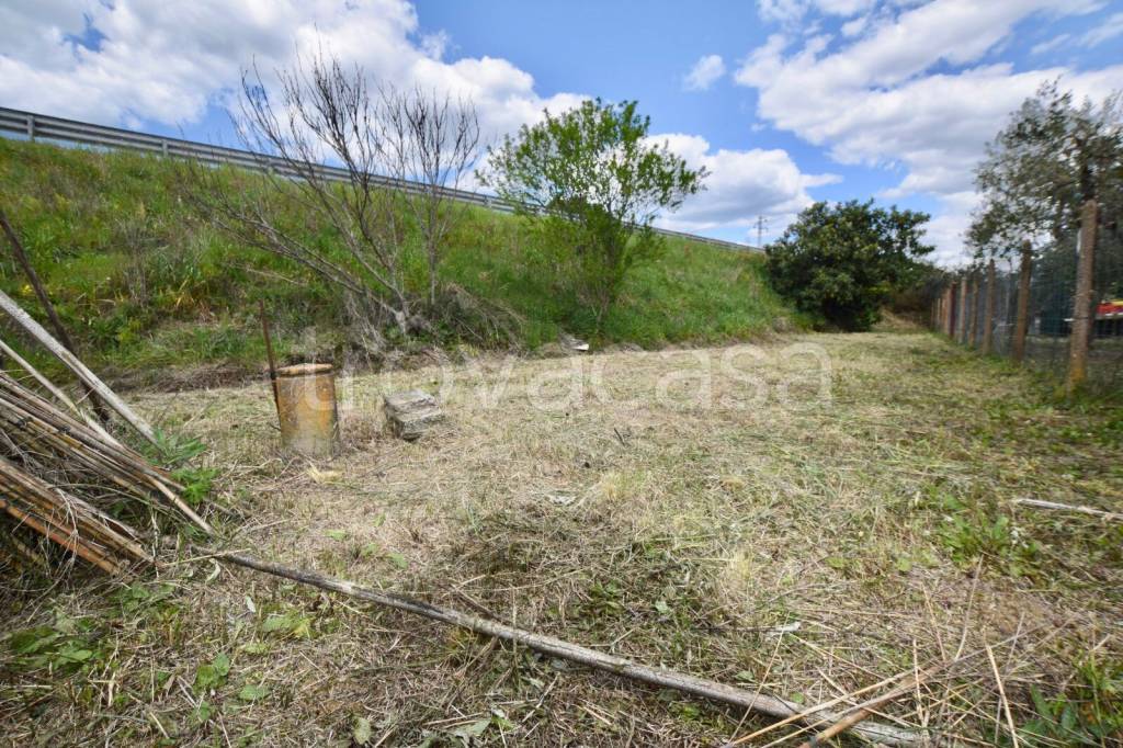 immagine annuncio 4 di 8