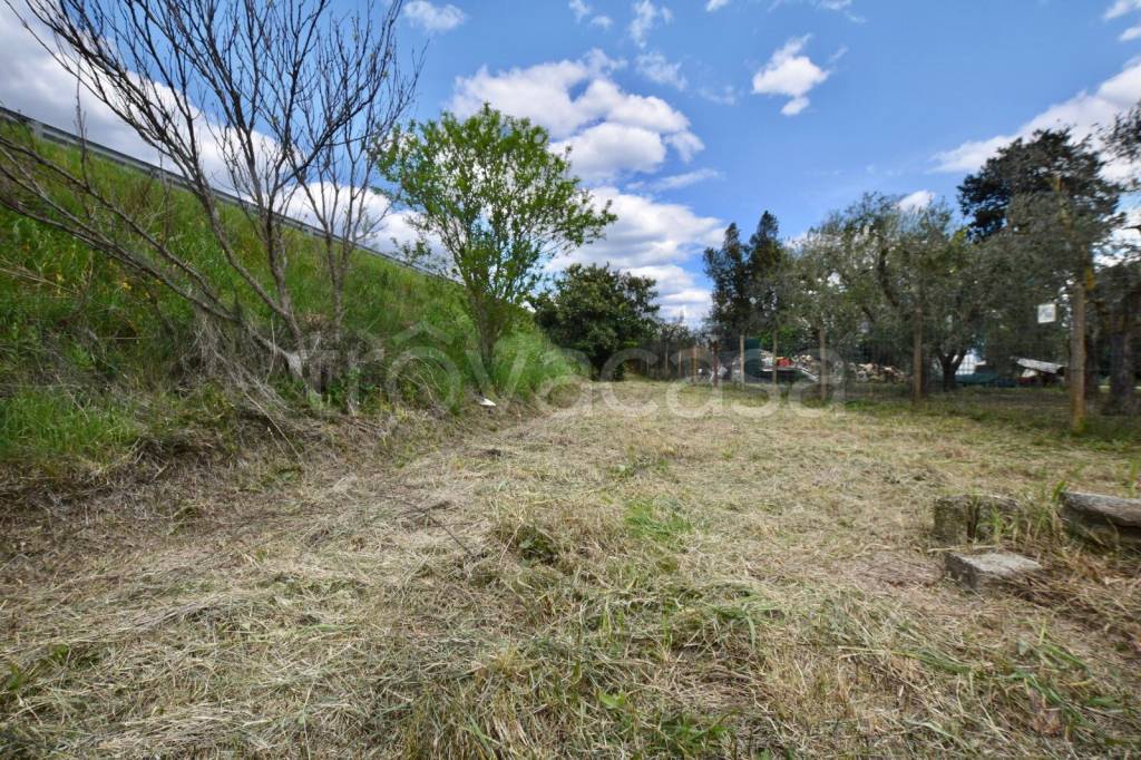 immagine annuncio 5 di 8