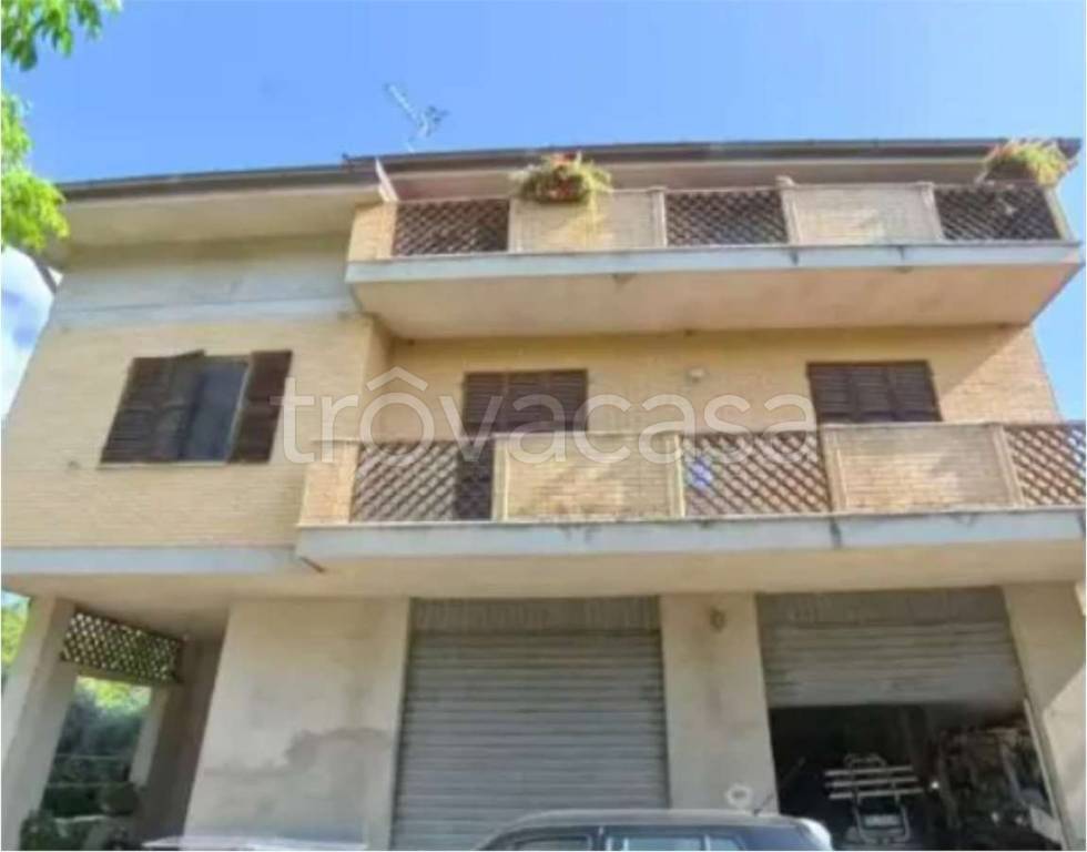 immagine annuncio 3 di 11