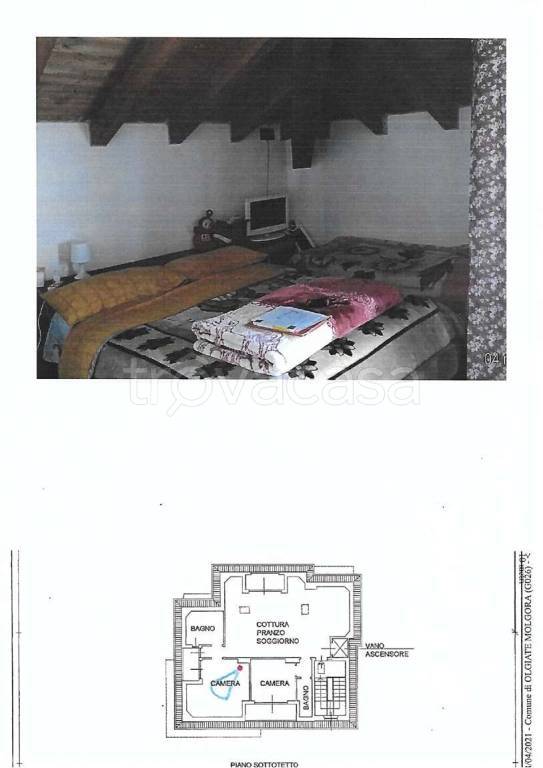 immagine annuncio 11 di 15