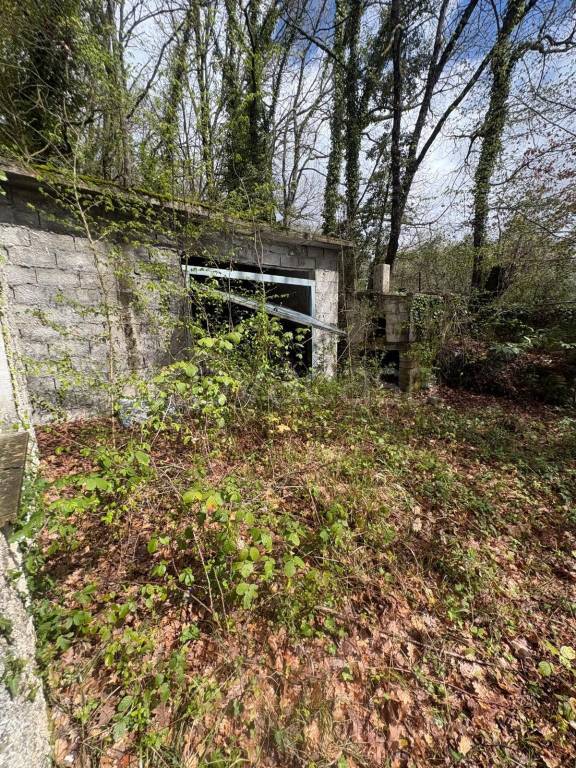 immagine annuncio 7 di 9