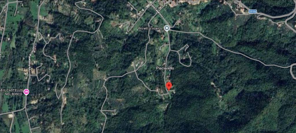 immagine annuncio 9 di 11