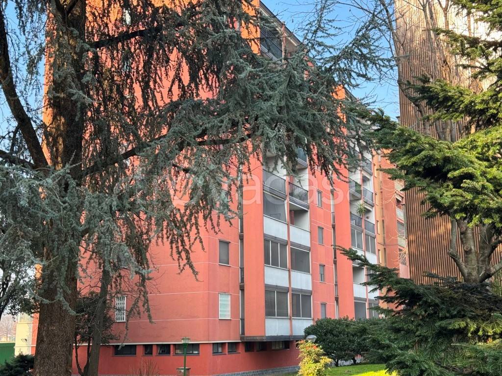 immagine annuncio 11 di 15