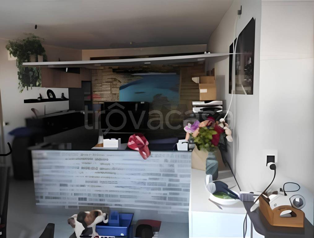 immagine annuncio 4 di 8