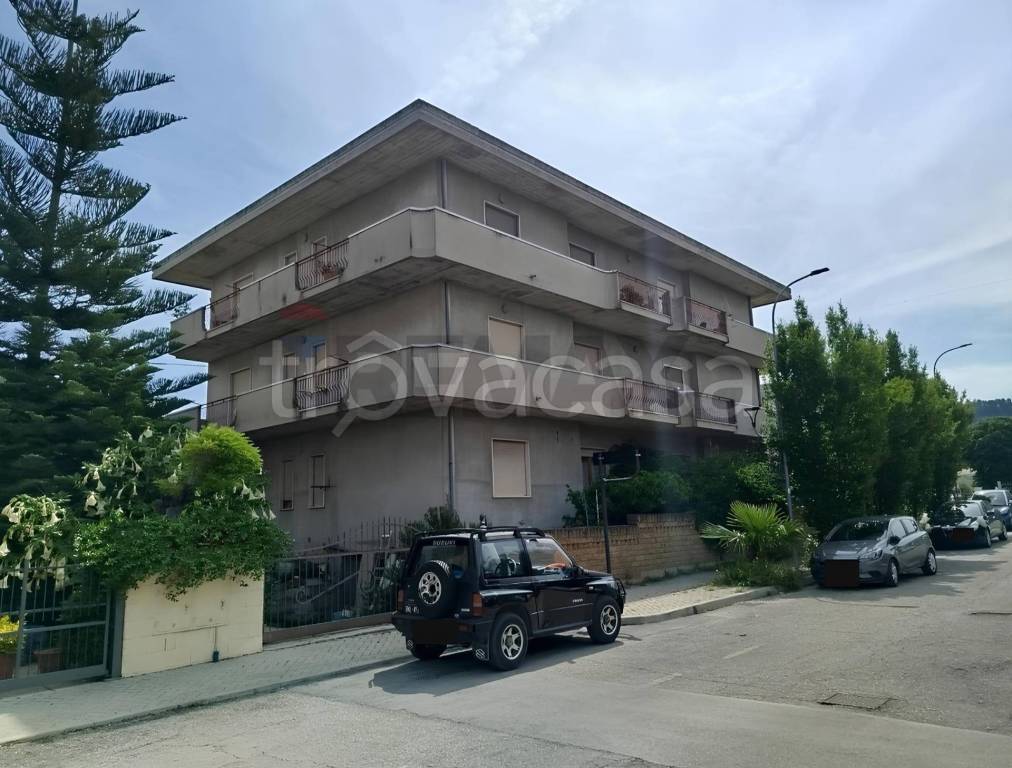 immagine annuncio 1 di 14