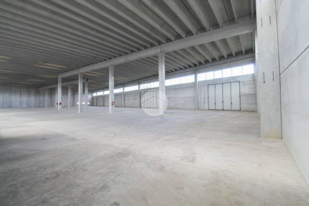 immagine annuncio 4 di 9