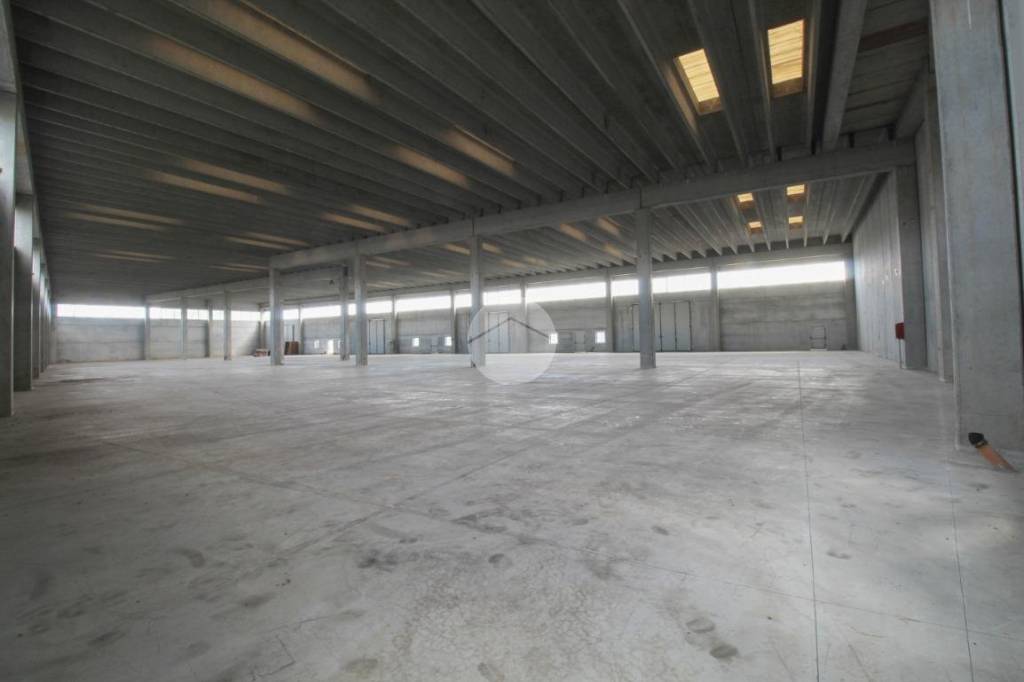 immagine annuncio 2 di 9