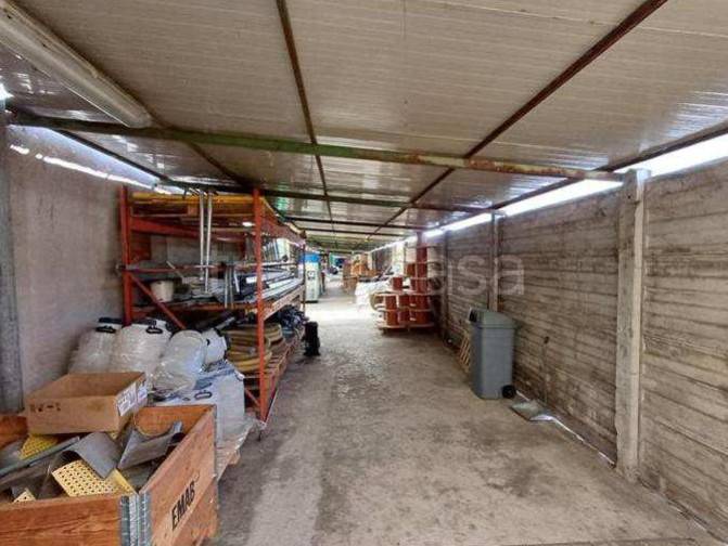 immagine annuncio 6 di 13