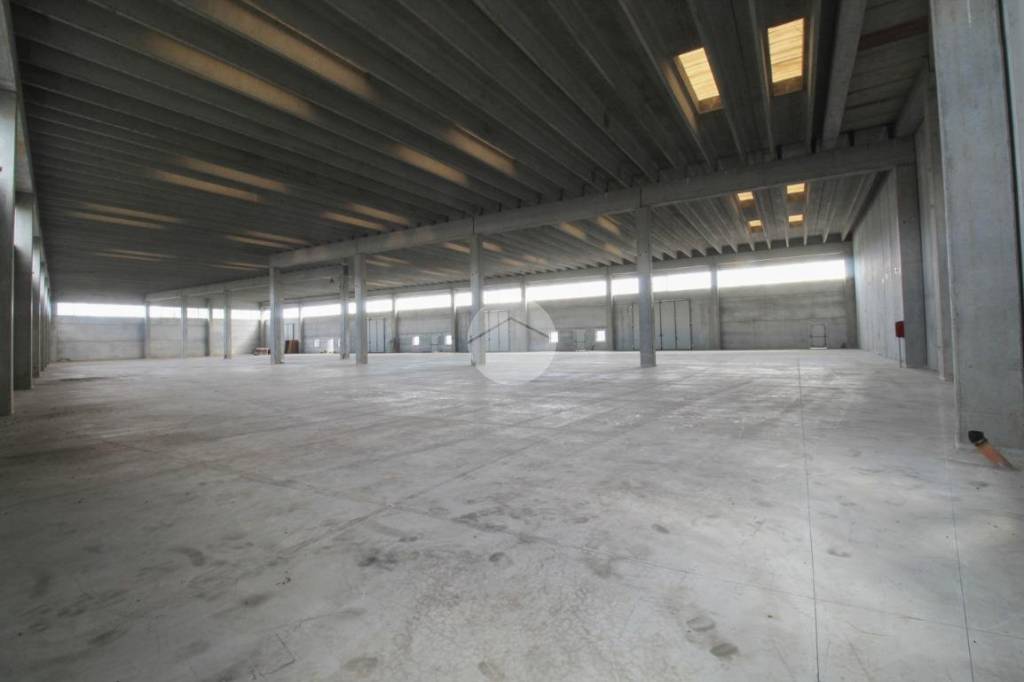 immagine annuncio 3 di 9