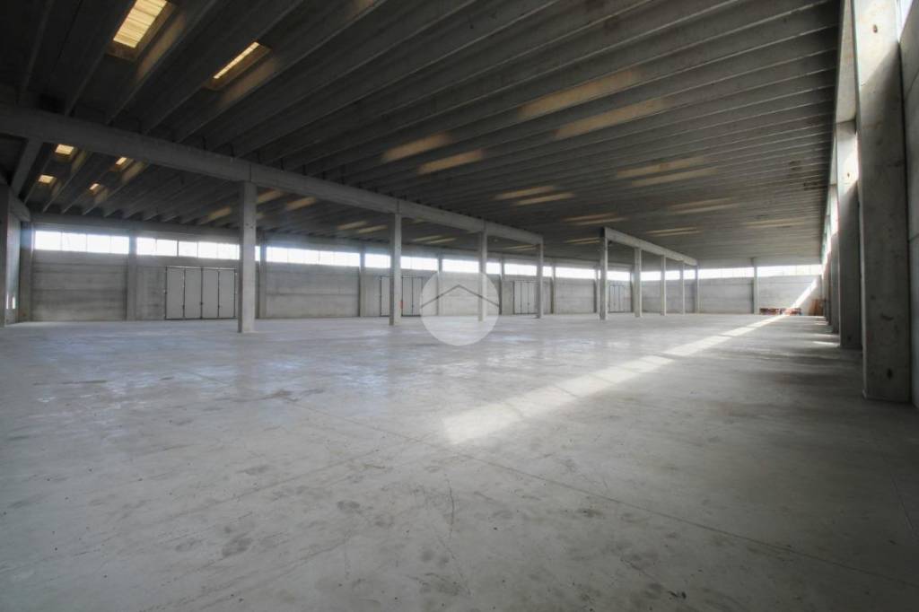 immagine annuncio 4 di 9