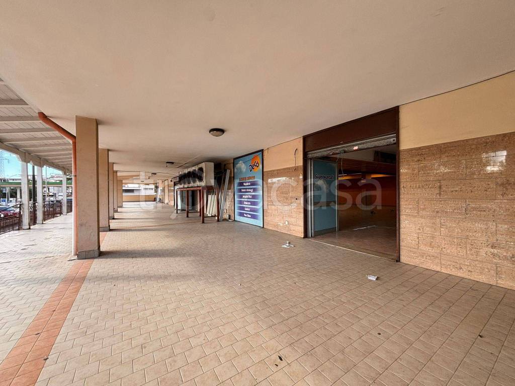 immagine annuncio 3 di 14