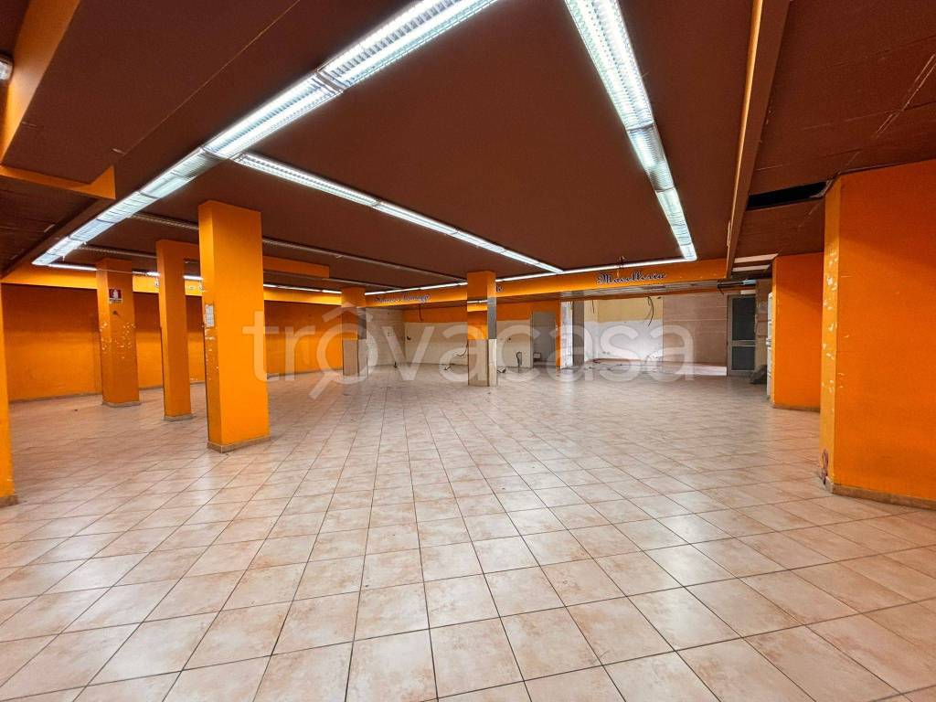 immagine annuncio 7 di 14