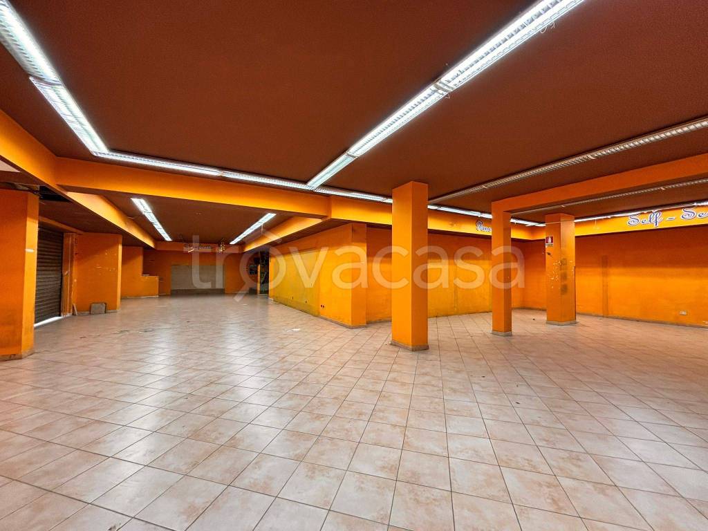 immagine annuncio 10 di 14