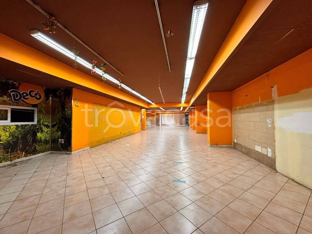 immagine annuncio 11 di 14