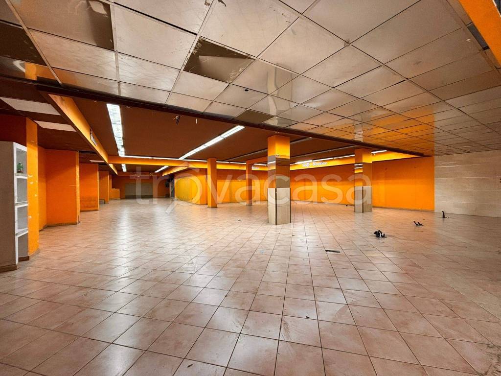 immagine annuncio 12 di 14