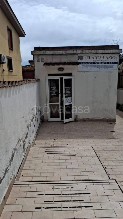 immagine annuncio 5 di 12