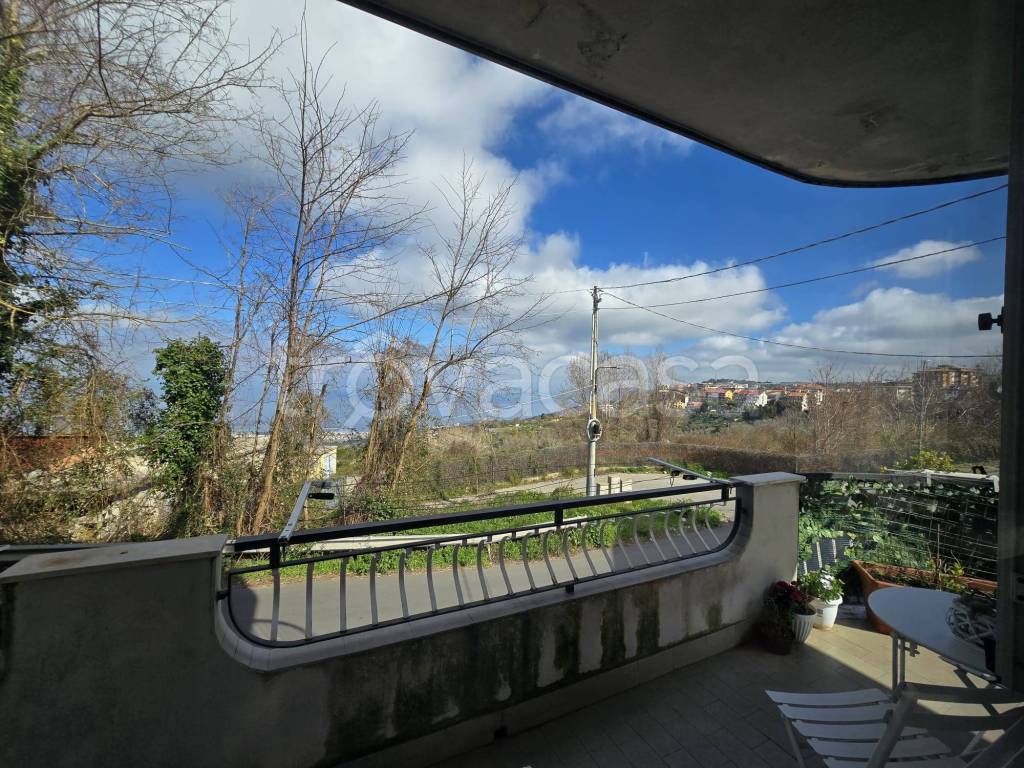 immagine annuncio 10 di 14