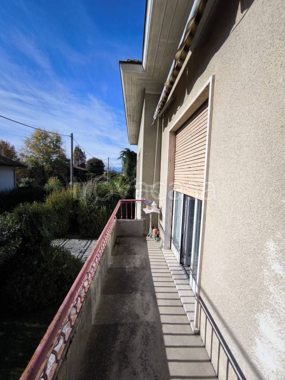 immagine annuncio 11 di 12