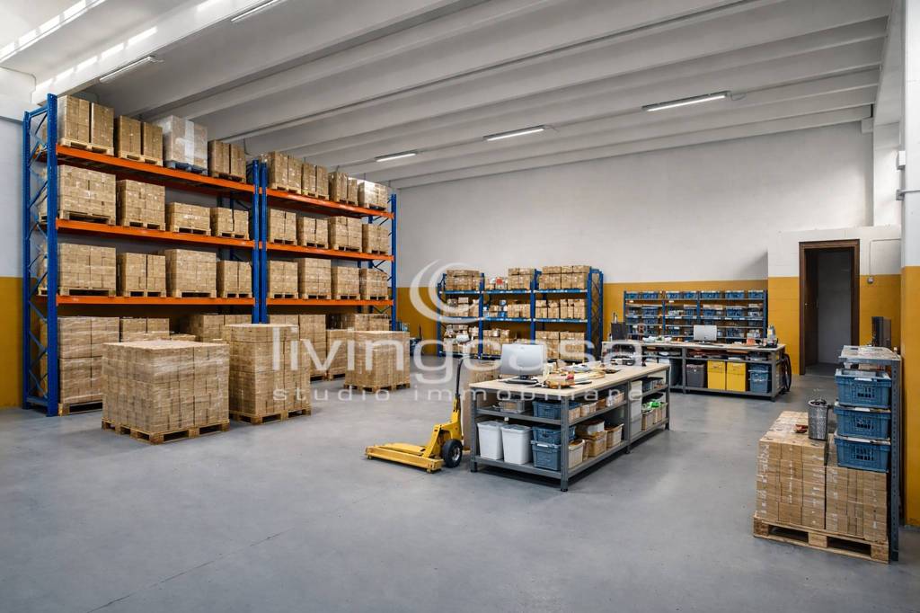 immagine annuncio 3 di 8