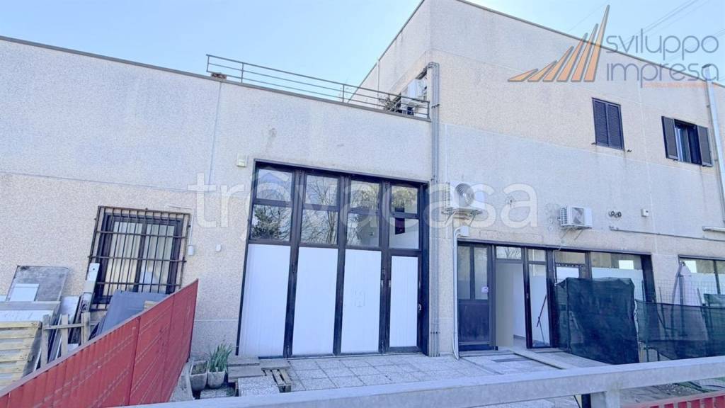 immagine annuncio 5 di 13