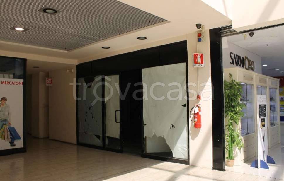 immagine annuncio 3 di 7