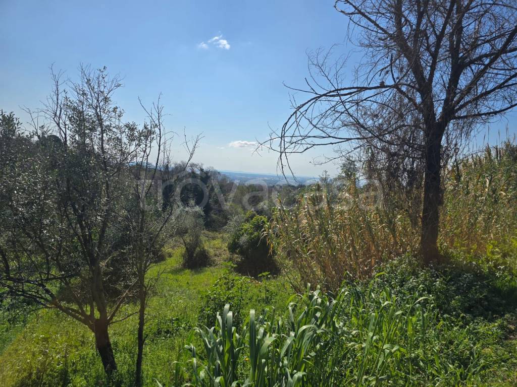 immagine annuncio 1 di 6