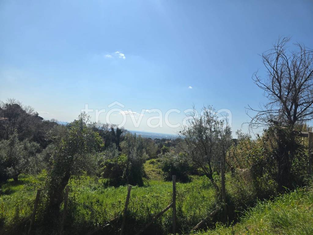 immagine annuncio 2 di 6