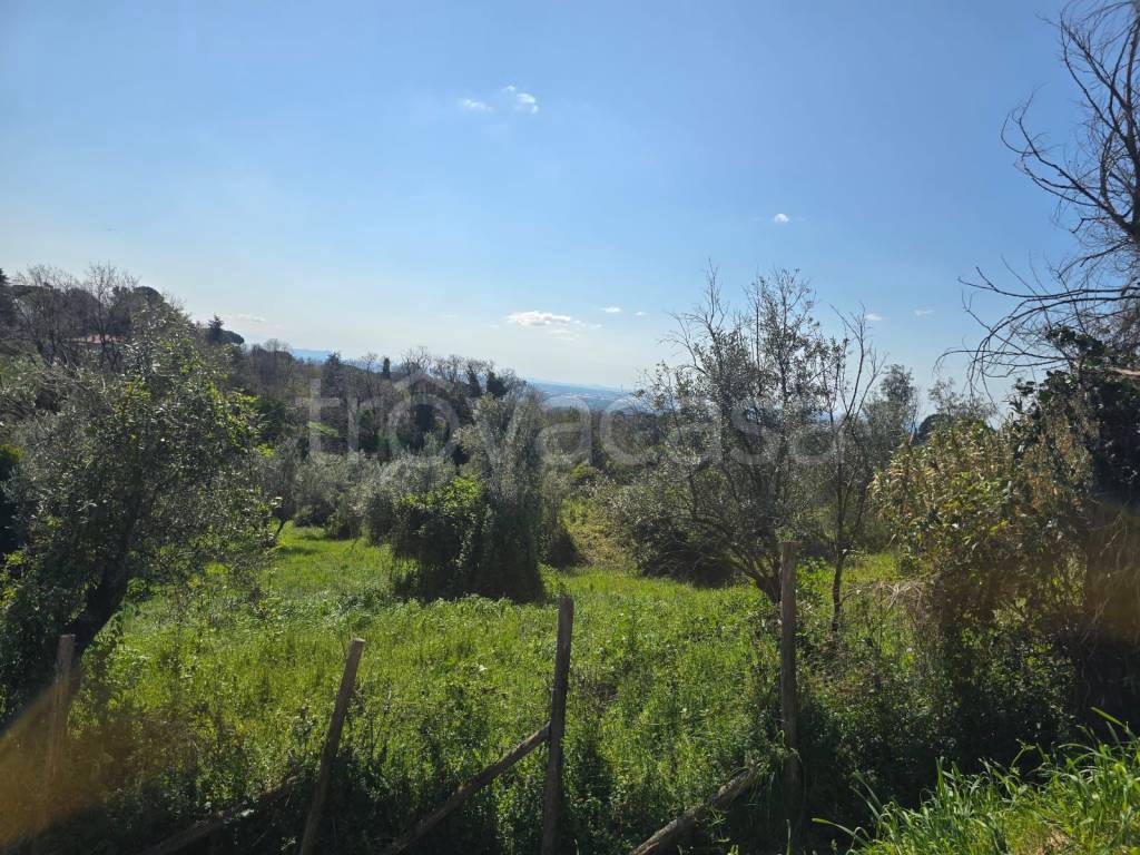 immagine annuncio 4 di 6