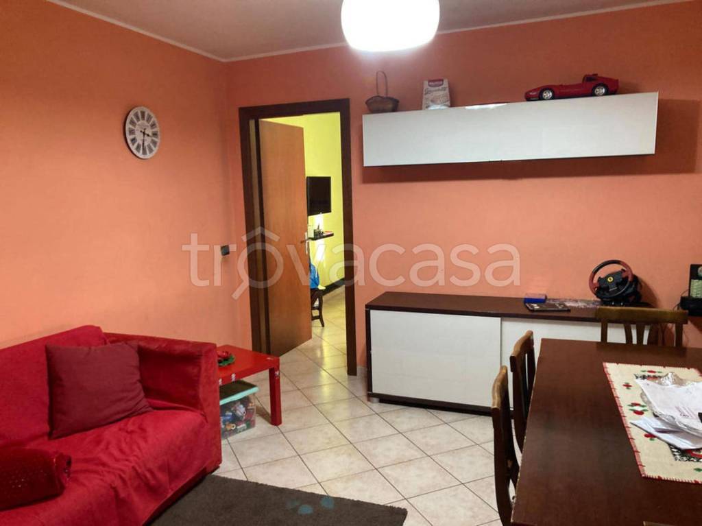 immagine annuncio 7 di 15