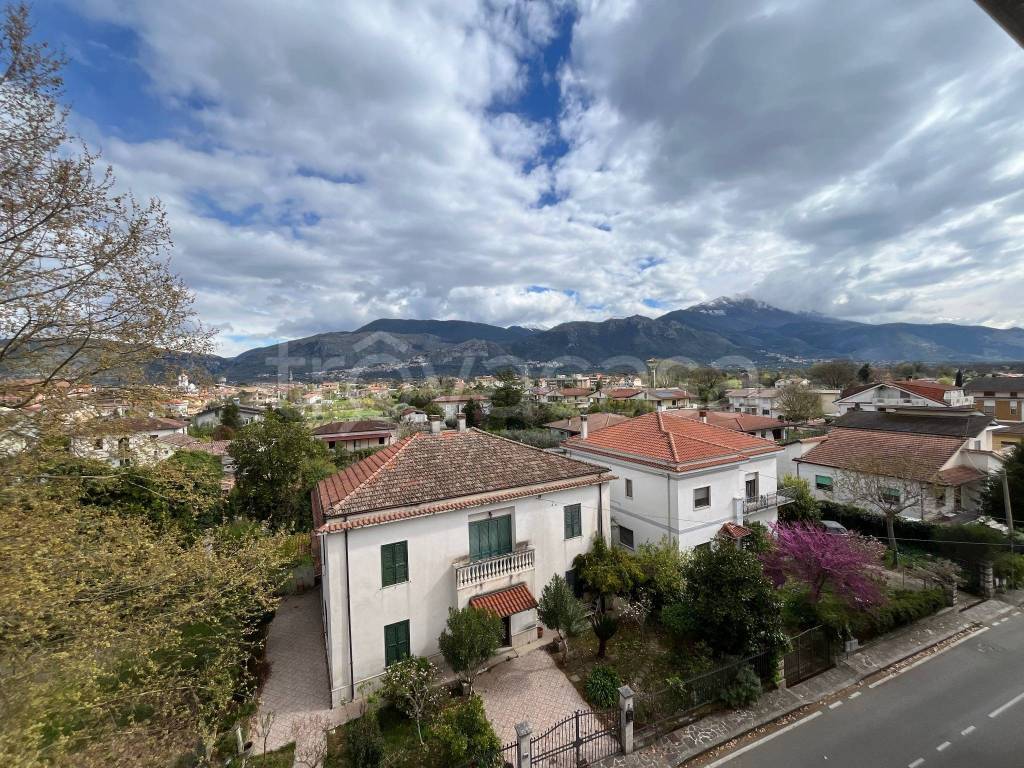 immagine annuncio 6 di 8