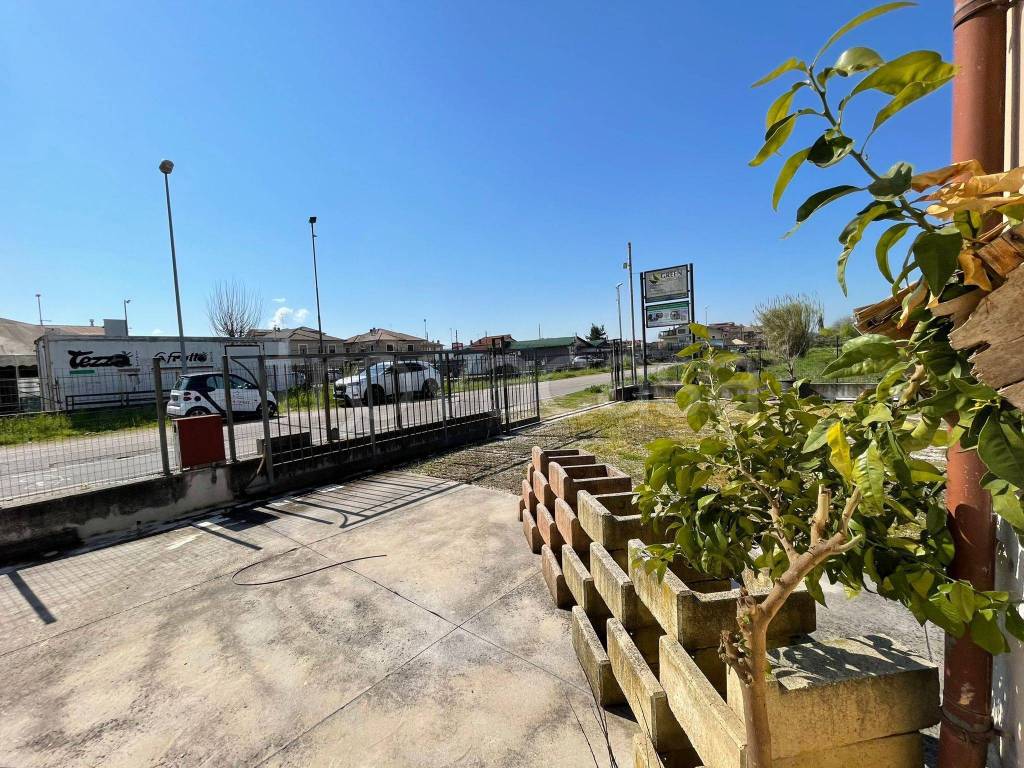 immagine annuncio 12 di 15