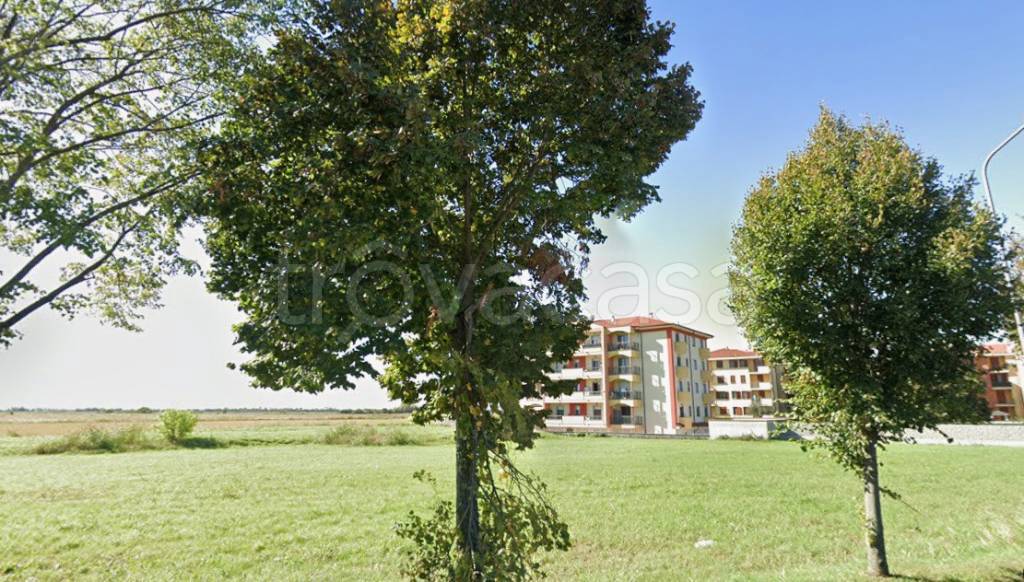 immagine annuncio 4 di 6