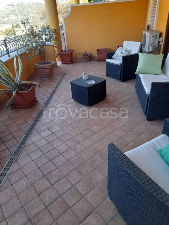 immagine annuncio 5 di 13