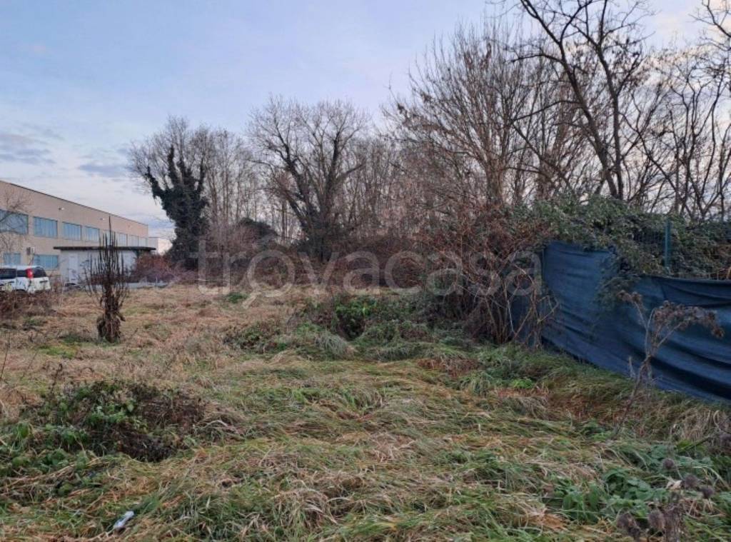 immagine annuncio 2 di 11