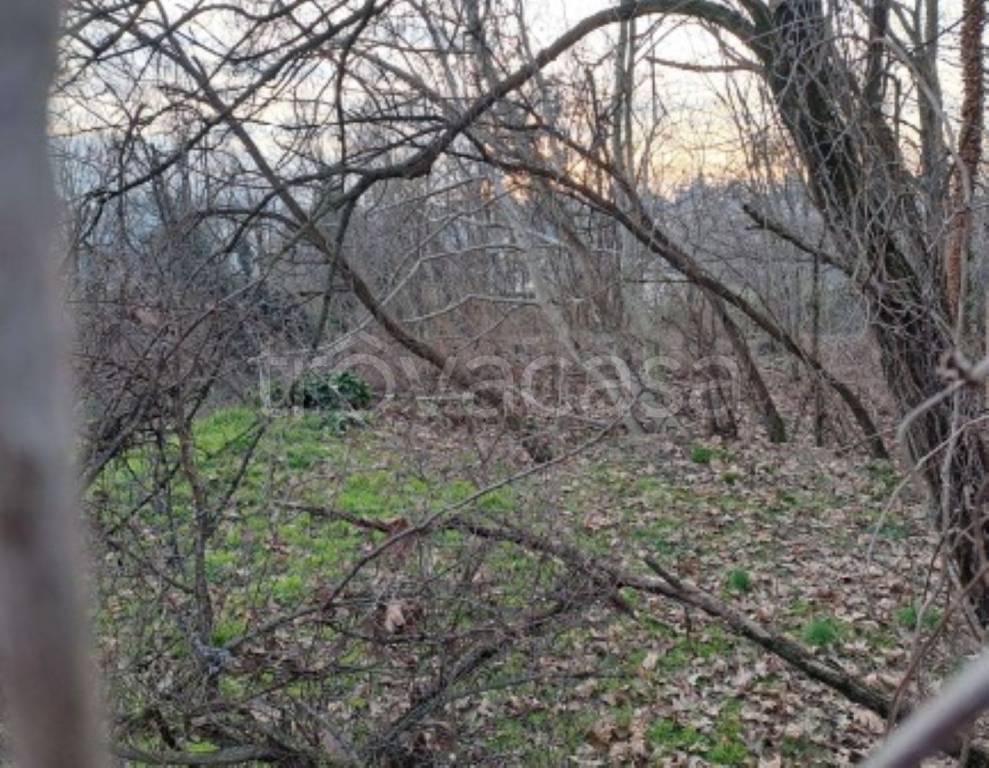 immagine annuncio 3 di 11