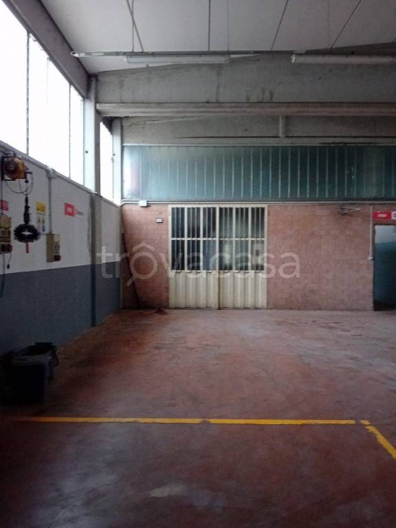 immagine annuncio 1 di 6