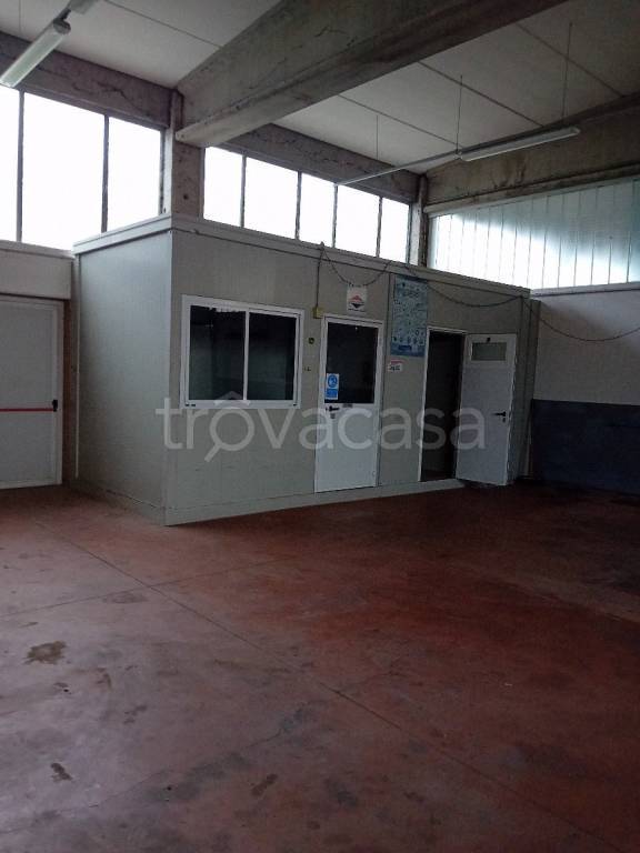 immagine annuncio 2 di 6