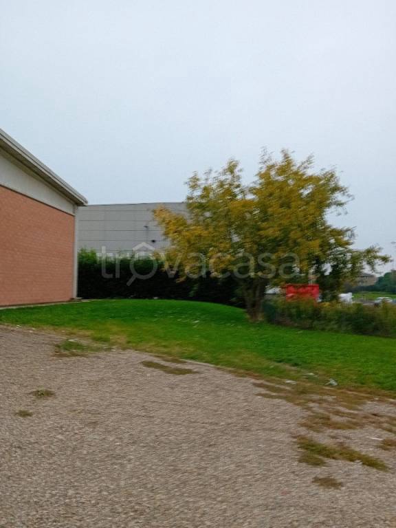 immagine annuncio 5 di 6