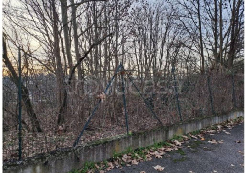 immagine annuncio 4 di 11