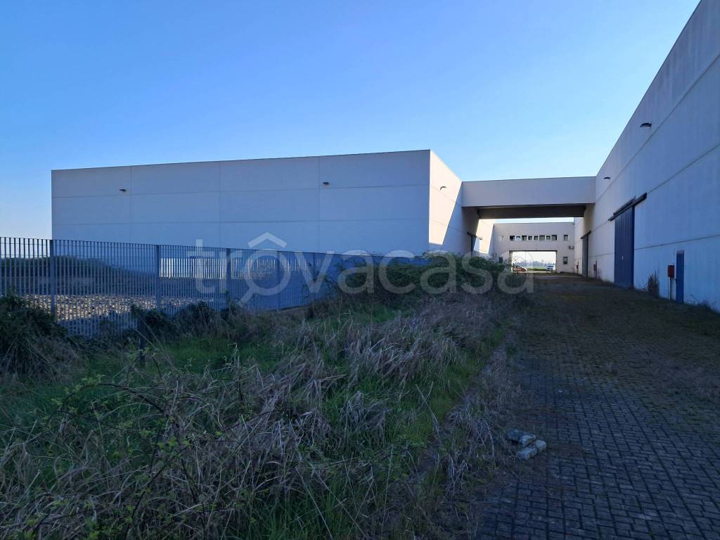 immagine annuncio 11 di 15