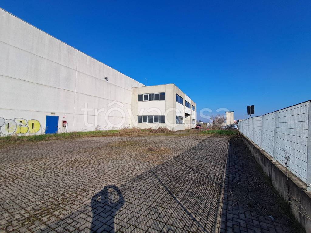 immagine annuncio 9 di 15