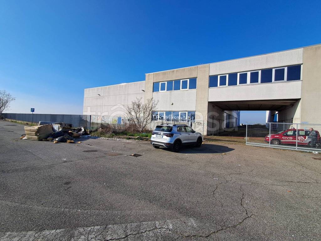 immagine annuncio 6 di 15