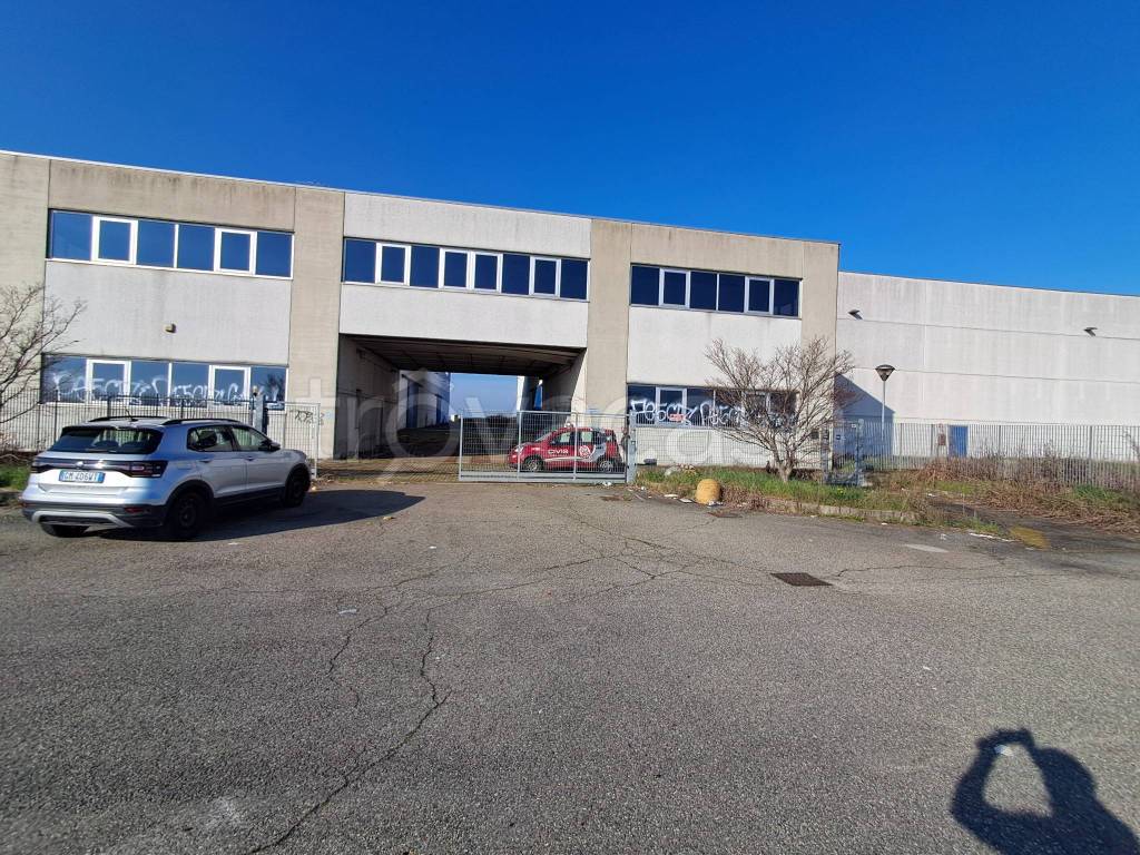 immagine annuncio 4 di 15