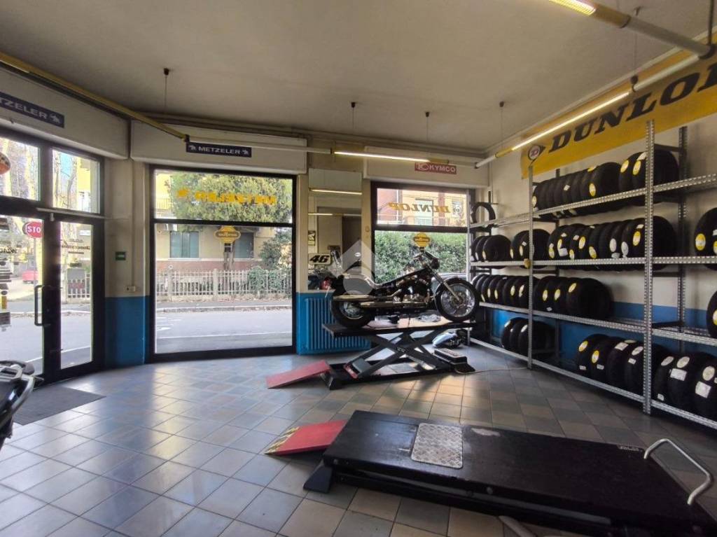 immagine annuncio 14 di 15