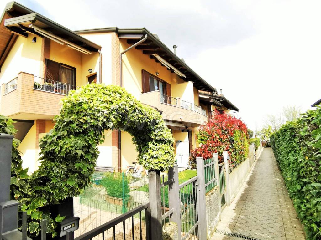 immagine annuncio 1 di 15