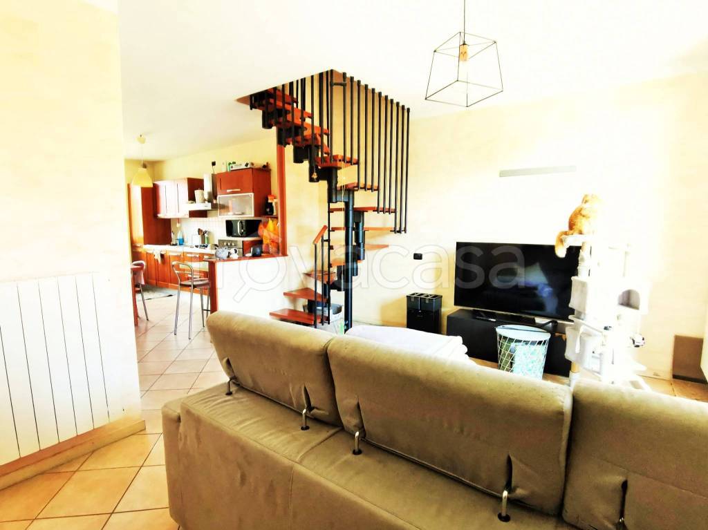 immagine annuncio 9 di 15